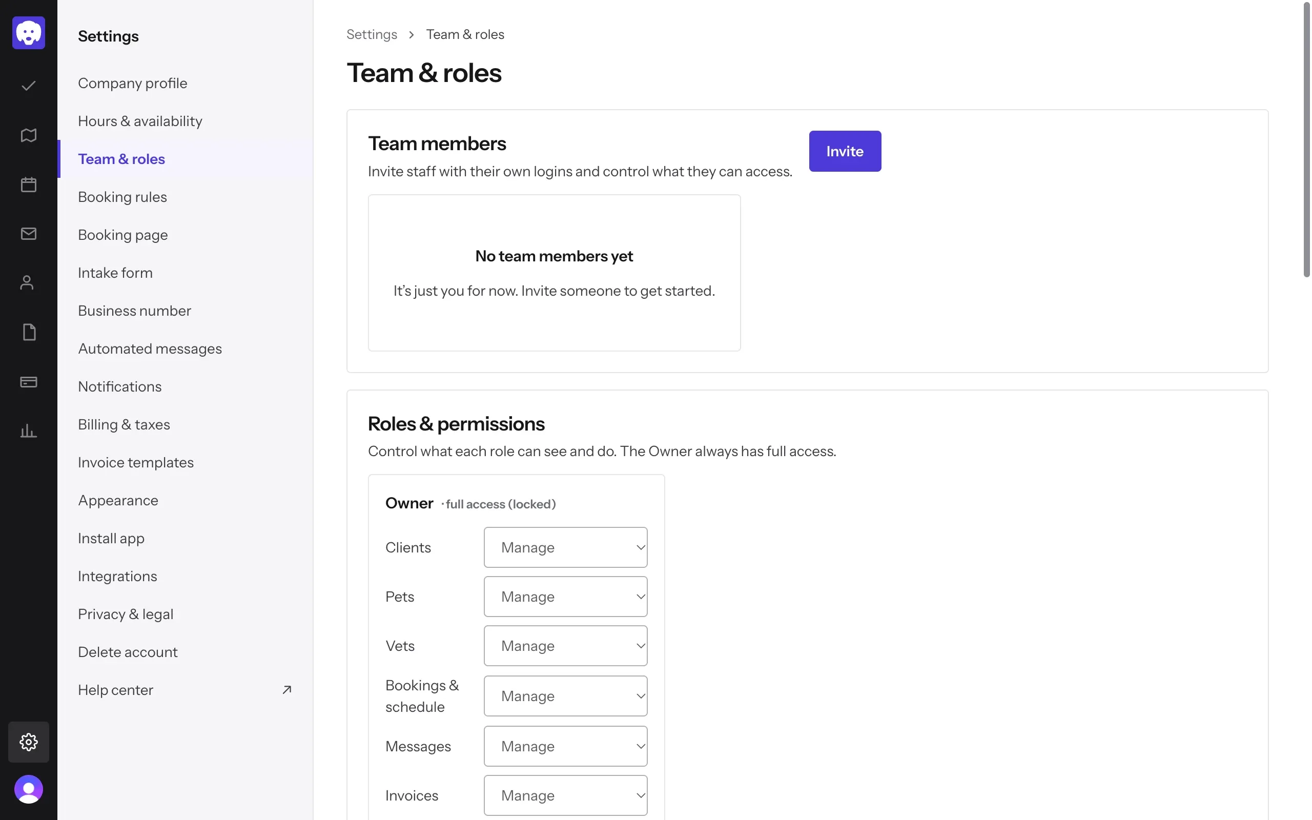 Team & roles, with the Invite button and no team members yet